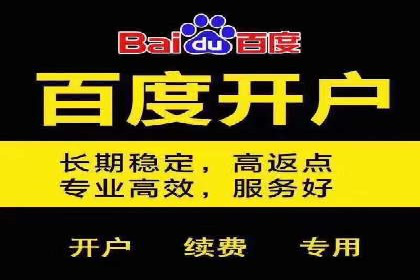 某品牌SEM广告策略揭秘——代运营公司的智慧